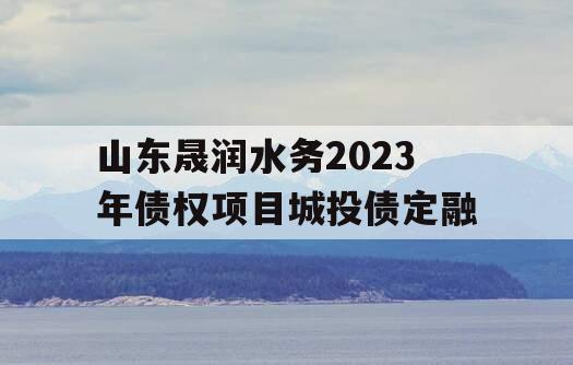 山东晟润水务2023年债权项目城投债定融