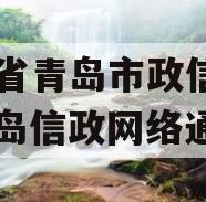 山东省青岛市政信项目（青岛信政网络通信）