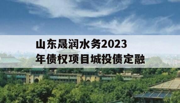 山东晟润水务2023年债权项目城投债定融