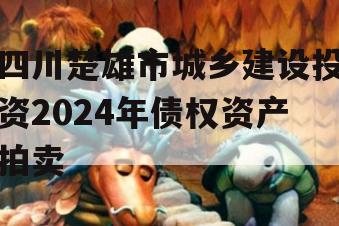 四川楚雄市城乡建设投资2024年债权资产拍卖