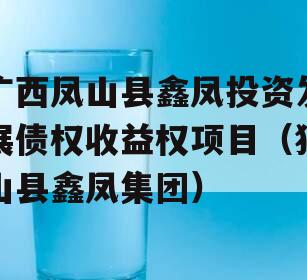 广西凤山县鑫凤投资发展债权收益权项目（独山县鑫凤集团）