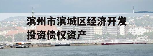 滨州市滨城区经济开发投资债权资产