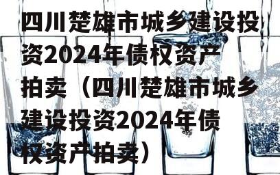 四川楚雄市城乡建设投资2024年债权资产拍卖（四川楚雄市城乡建设投资2024年债权资产拍卖）