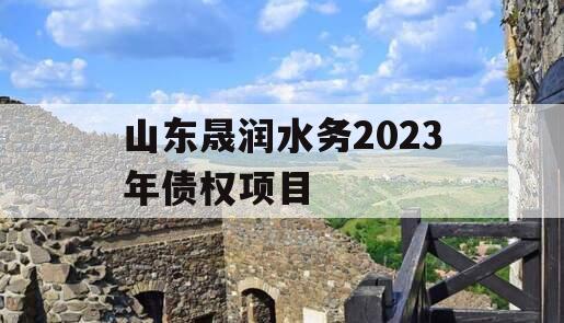 山东晟润水务2023年债权项目