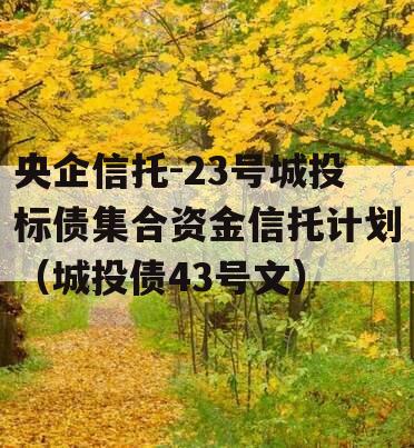 央企信托-23号城投标债集合资金信托计划（城投债43号文）