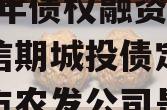 河南汝阳农发投资发展2024年债权融资项目政信期城投债定融（汝州市农发公司是什么机构）