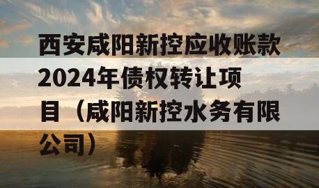 西安咸阳新控应收账款2024年债权转让项目（咸阳新控水务有限公司）