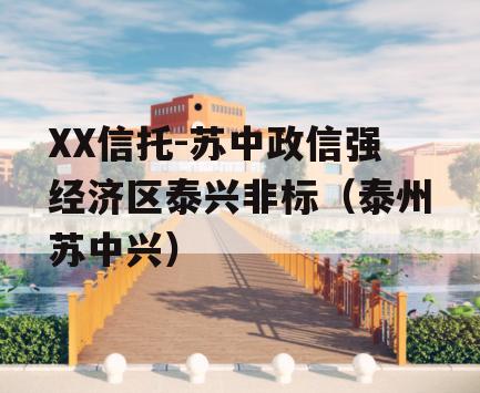 XX信托-苏中政信强经济区泰兴非标（泰州苏中兴）