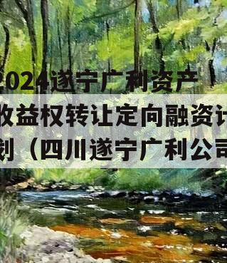 2024遂宁广利资产收益权转让定向融资计划（四川遂宁广利公司）