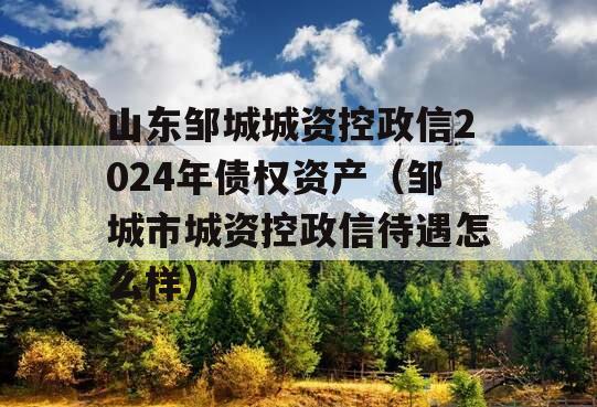 山东邹城城资控政信2024年债权资产（邹城市城资控政信待遇怎么样）