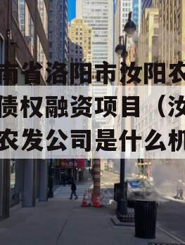 河南省洛阳市汝阳农发投债权融资项目（汝州市农发公司是什么机构）