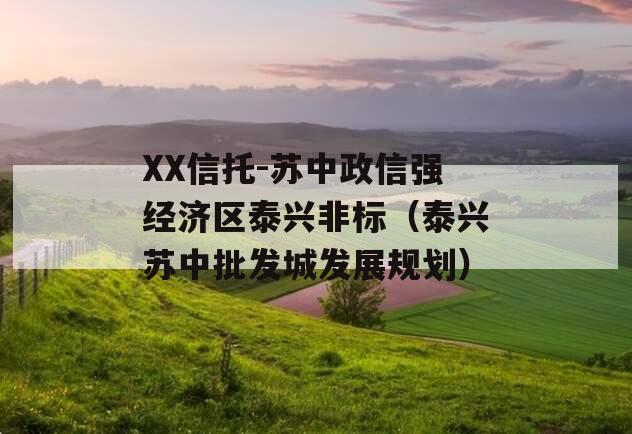 XX信托-苏中政信强经济区泰兴非标（泰兴苏中批发城发展规划）