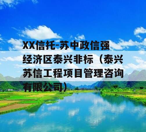 XX信托-苏中政信强经济区泰兴非标（泰兴苏信工程项目管理咨询有限公司）