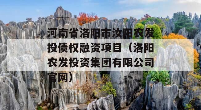 河南省洛阳市汝阳农发投债权融资项目（洛阳农发投资集团有限公司官网）