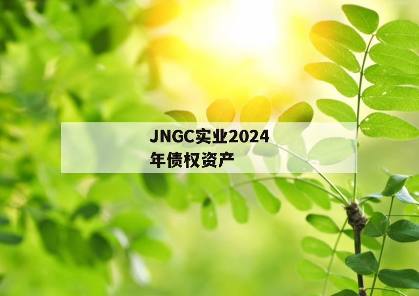 JNGC实业2024年债权资产