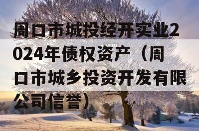 周口市城投经开实业2024年债权资产（周口市城乡投资开发有限公司信誉）