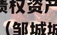 山东邹城城资控政信2024年债权资产城投债定融（邹城城资公司下属公司）