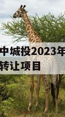 阆中城投2023年债权转让项目