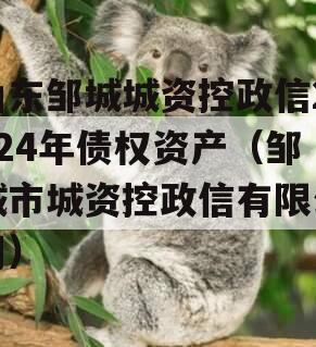 山东邹城城资控政信2024年债权资产（邹城市城资控政信有限公司）