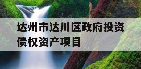 达州市达川区政府投资债权资产项目