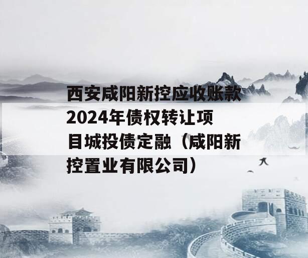 西安咸阳新控应收账款2024年债权转让项目城投债定融（咸阳新控置业有限公司）