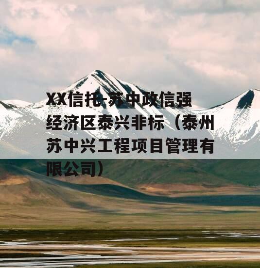 XX信托-苏中政信强经济区泰兴非标（泰州苏中兴工程项目管理有限公司）