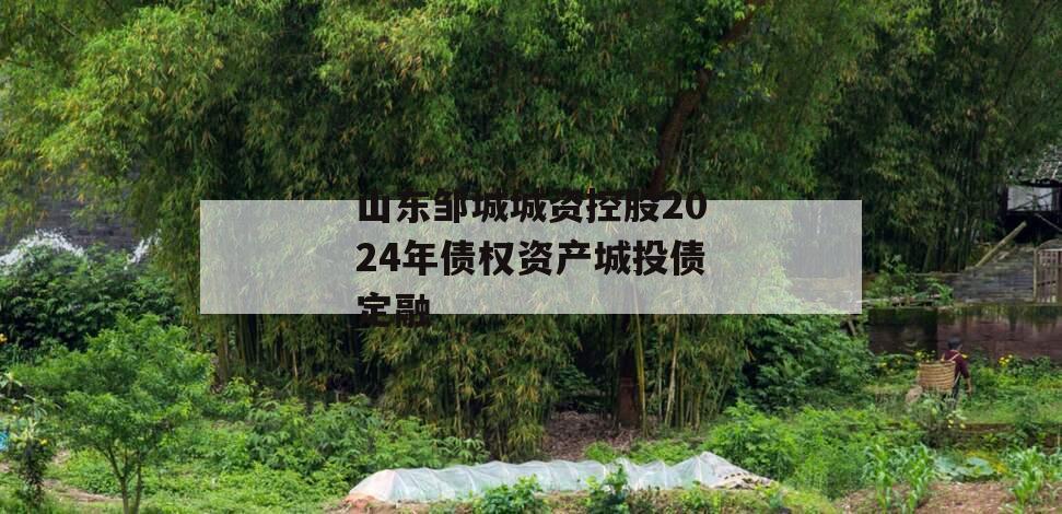 山东邹城城资控股2024年债权资产城投债定融