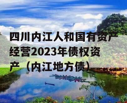 四川内江人和国有资产经营2023年债权资产（内江地方债）