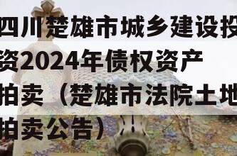 四川楚雄市城乡建设投资2024年债权资产拍卖（楚雄市法院土地拍卖公告）