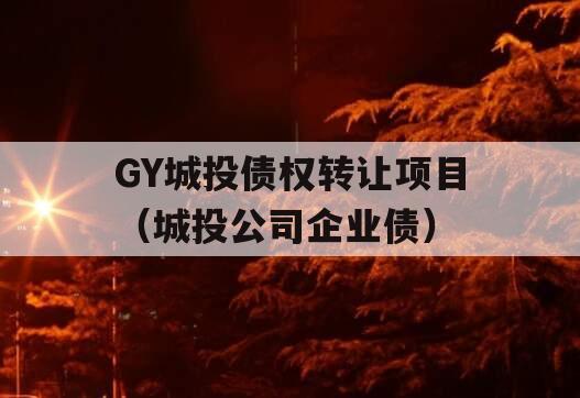 GY城投债权转让项目（城投公司企业债）