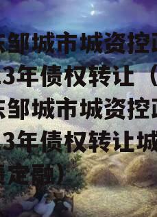 山东邹城市城资控政信2023年债权转让（山东邹城市城资控政信2023年债权转让城投债定融）