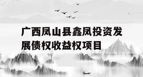 广西凤山县鑫凤投资发展债权收益权项目