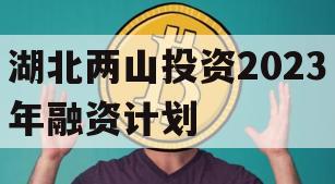 湖北两山投资2023年融资计划