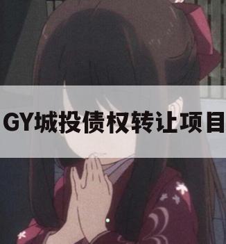 GY城投债权转让项目