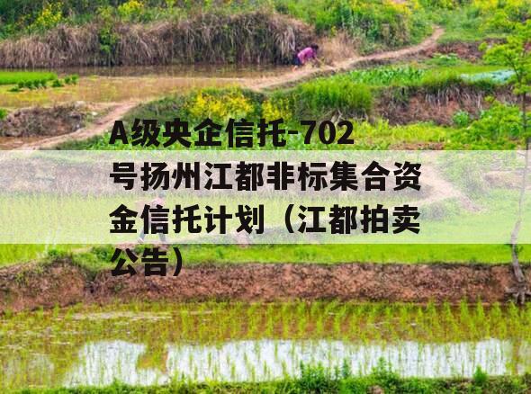 A级央企信托-702号扬州江都非标集合资金信托计划（江都拍卖公告）