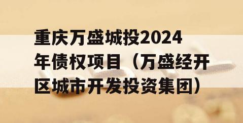 重庆万盛城投2024年债权项目（万盛经开区城市开发投资集团）