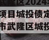 重庆武隆区2024年债权项目城投债定融（重庆市武隆区城投集团政信）