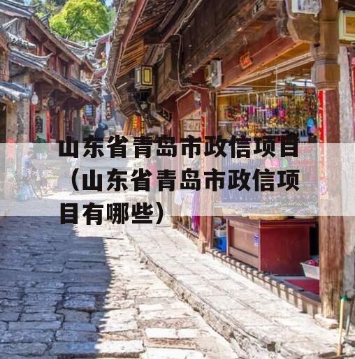 山东省青岛市政信项目（山东省青岛市政信项目有哪些）