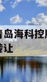 山东青岛海科控股债权资产转让