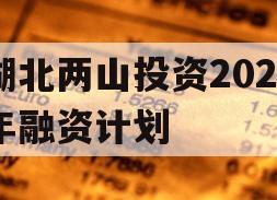 湖北两山投资2023年融资计划