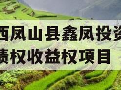 广西凤山县鑫凤投资发展债权收益权项目