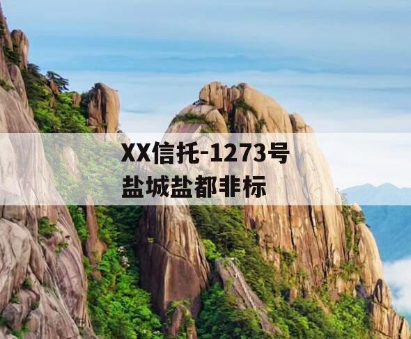 XX信托-1273号盐城盐都非标