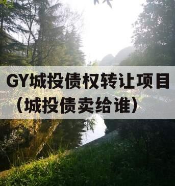 GY城投债权转让项目（城投债卖给谁）