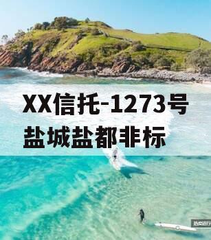 XX信托-1273号盐城盐都非标