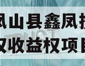 广西凤山县鑫凤投资发展债权收益权项目