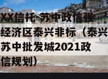 XX信托-苏中政信强经济区泰兴非标（泰兴苏中批发城2021政信规划）