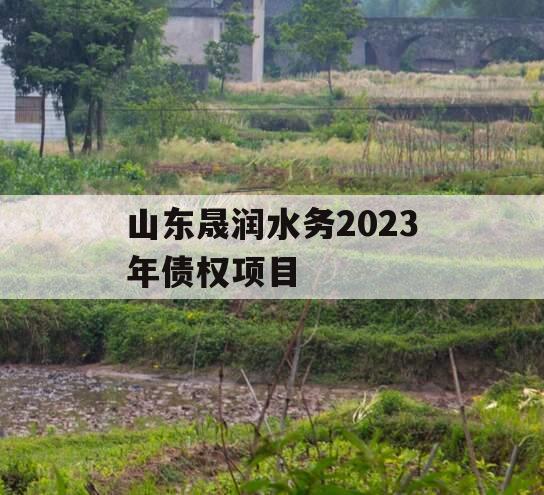 山东晟润水务2023年债权项目