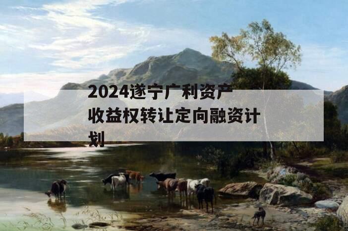 2024遂宁广利资产收益权转让定向融资计划