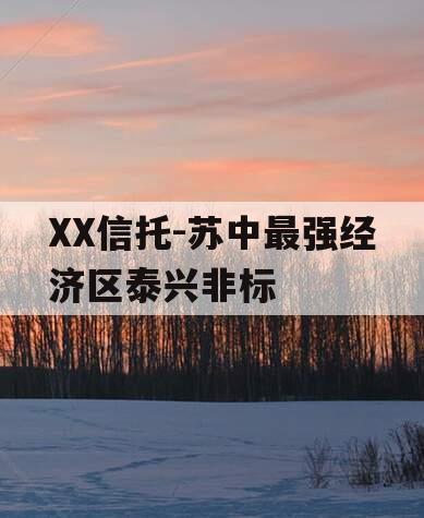 XX信托-苏中最强经济区泰兴非标