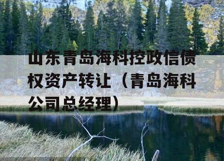 山东青岛海科控政信债权资产转让（青岛海科公司总经理）